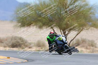 media/May-12-2024-SoCal Trackdays (Sun) [[ad755dc1f9]]/10-Turn 4 Tree of Life (1120am)/